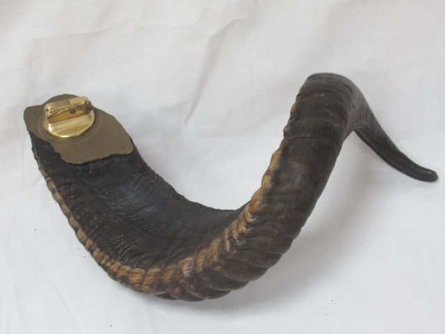 Null Table lighter in horn. Length: 34 cm