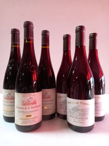 Null 一批6瓶。

3 圣尼古拉-德-布尔盖尔。2018.巴里耶里酒庄（Domaine de la Barilleraie

3 勃艮第红葡萄酒。 2019&hellip;