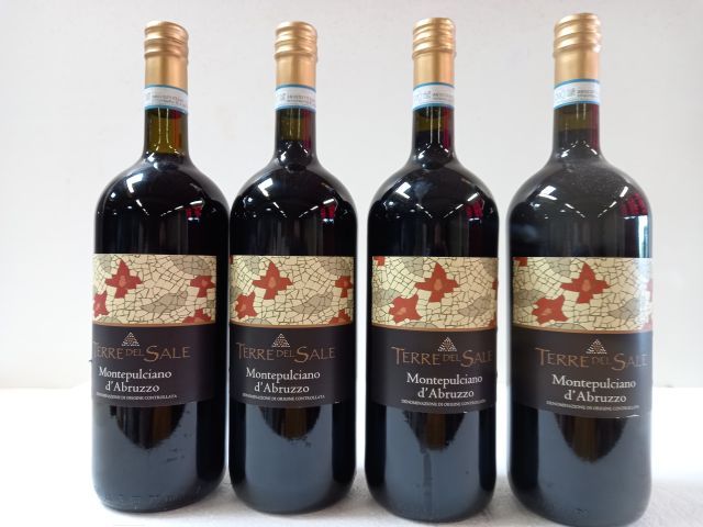 Null 4大瓶（150cl）Montépulciano d'Abruzzo. 2020.La Terre Del Sale.意大利的好酒