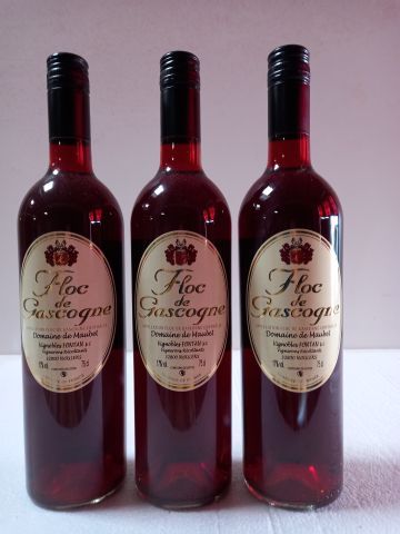 Null 3 bottles of floc de Gascogne. Liquorous. Domaine de Maubert. Winegrowers. &hellip;
