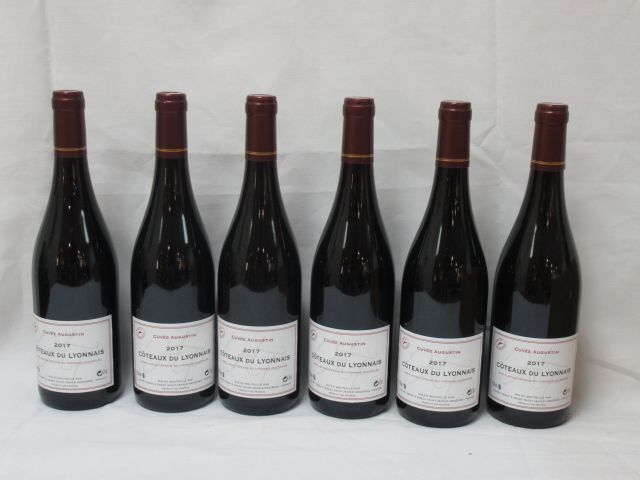 Null 6 botellas de Côteaux du Lyonnais Rouge, 2017.