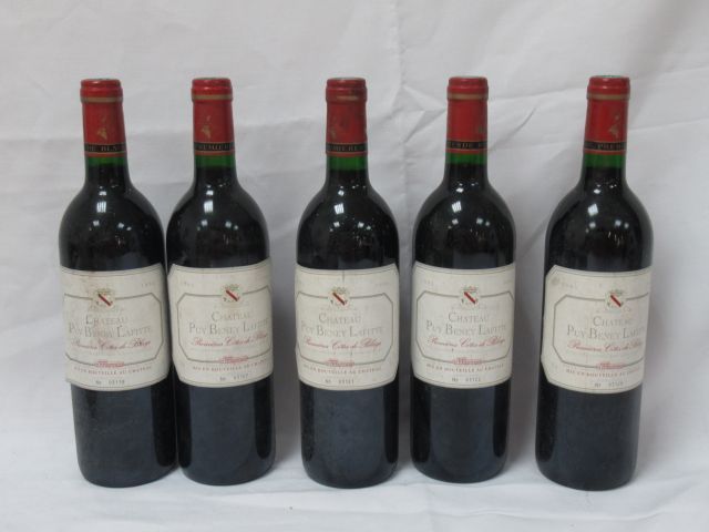 Null 5 bouteilles de Premières Côtes de Blaye, Château Puy Benet Lafitte, 1995 (&hellip;