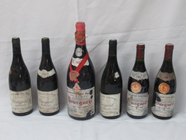 Null Bourgueil, domaine les Pins, including a magnum of 89, 1 bottle of 89, 1 bo&hellip;