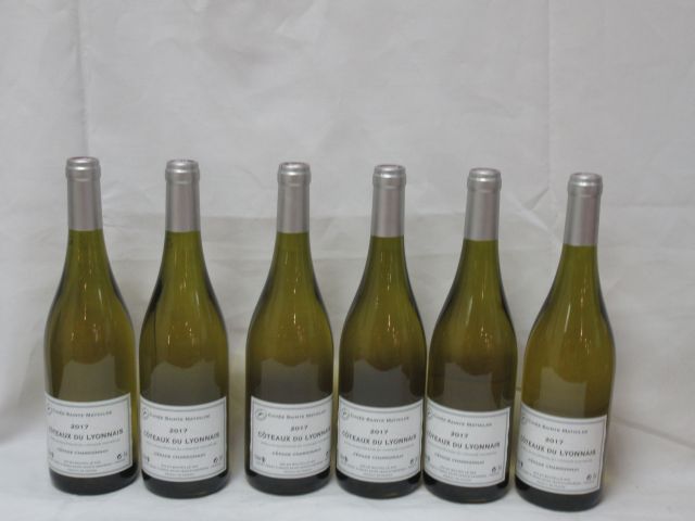 Null 6 Flaschen Côteaux du Lyonnais Weiß, 2017.