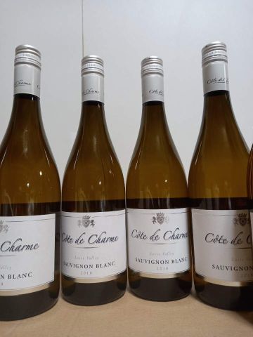 Null 9 botellas de vino Sauvignon Blanc 2018 del Loira La Côte de Charme Les Cel&hellip;