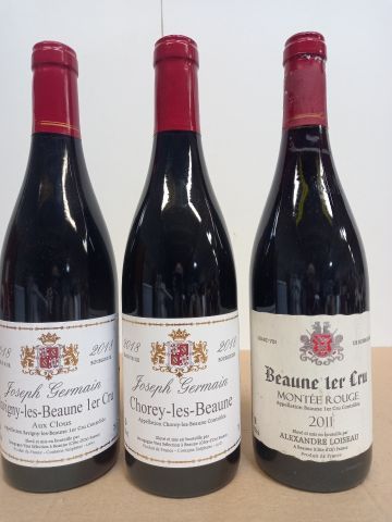 Null Lot of 3 bottles: 

1 Savigny Les Beaune 1er Cru 2018 aux Cloux Joseph Germ&hellip;