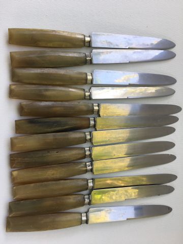 Null Set di 12 coltelli manico in corno, ghiera in argento, lama in acciaio inox&hellip;