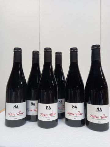 Null 6 botellas de Mas Amiel 2014 Côtes de Roussillon Villages botella pesada de&hellip;