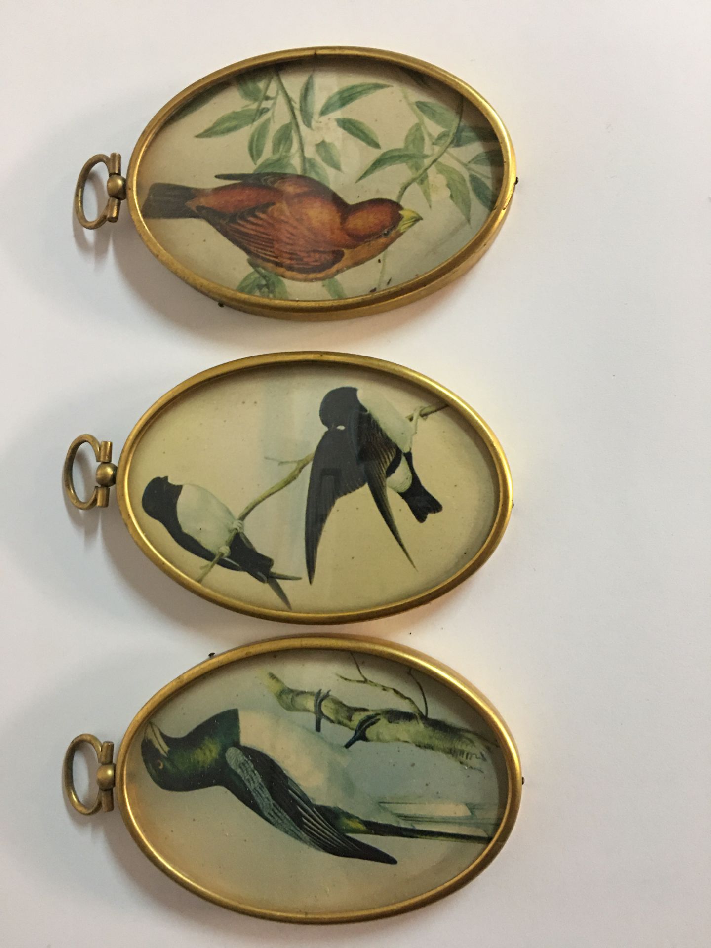 Null Three small brass picture frames with reproductions of birds 10x6cm