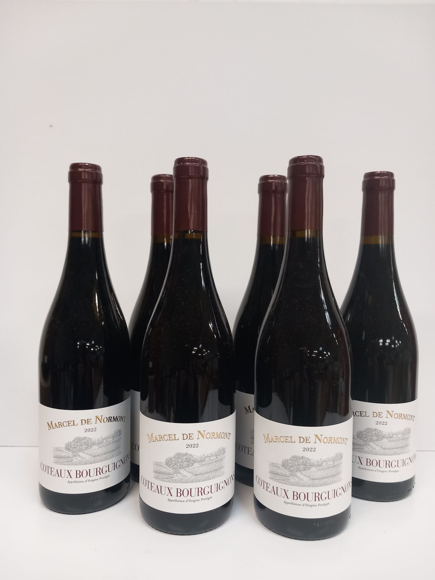 Null 6 Bouteilles de Bourgogne Rouge 2022, Côteaux Bourguignons, Marcel de Normo&hellip;