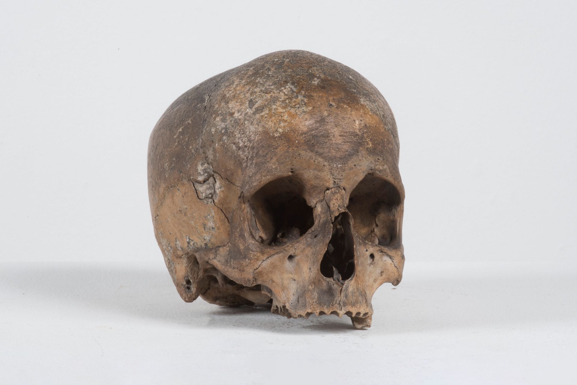 Null HUMAN SKULL Missing the lower jaw and many teeth.
H.14 cm
Provenance:
Garde&hellip;