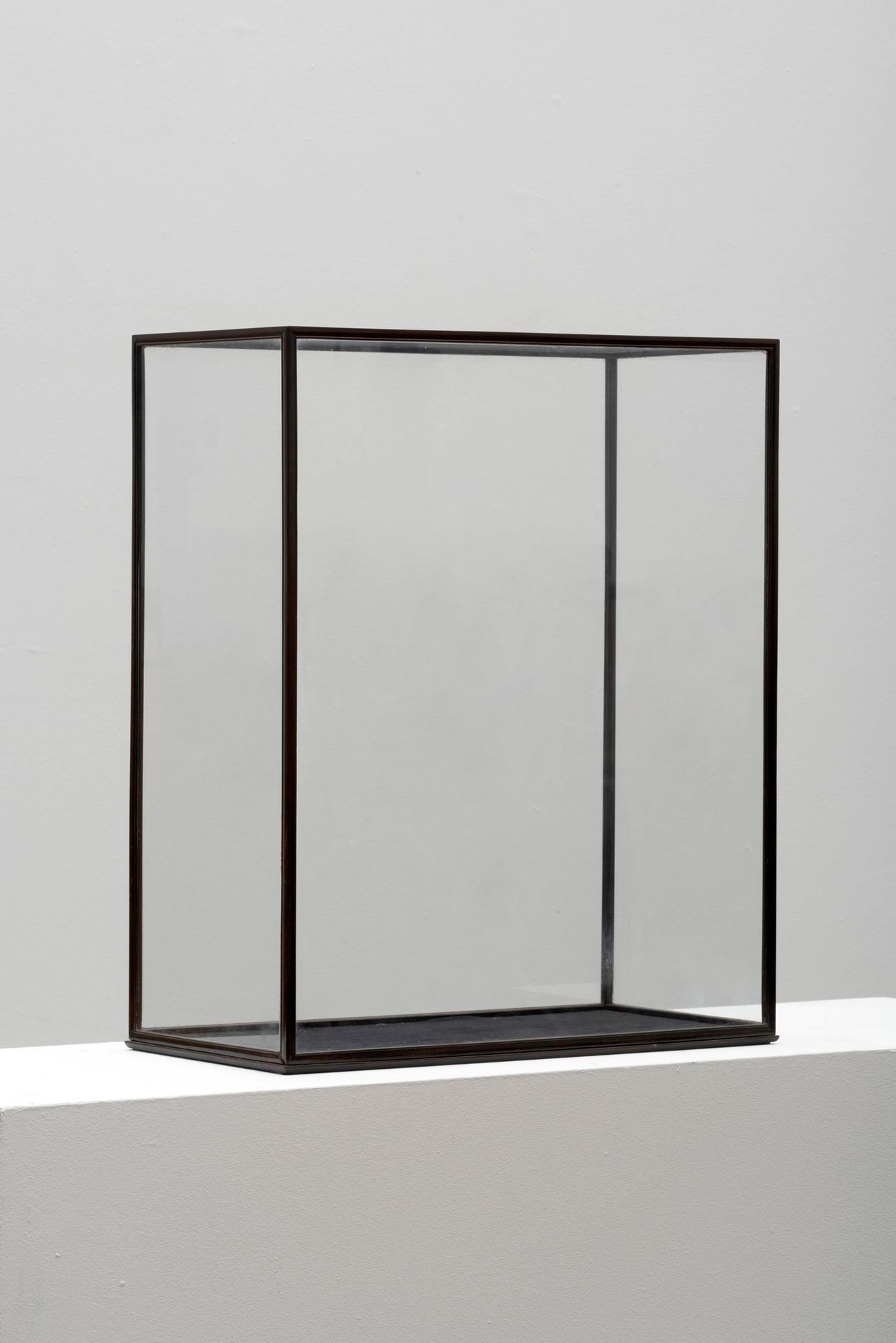 Null 玻璃和木头 VITRINE
19世纪。
高60,5厘米，宽51厘米，深25,5厘米
出处：
前René Withofs收藏。