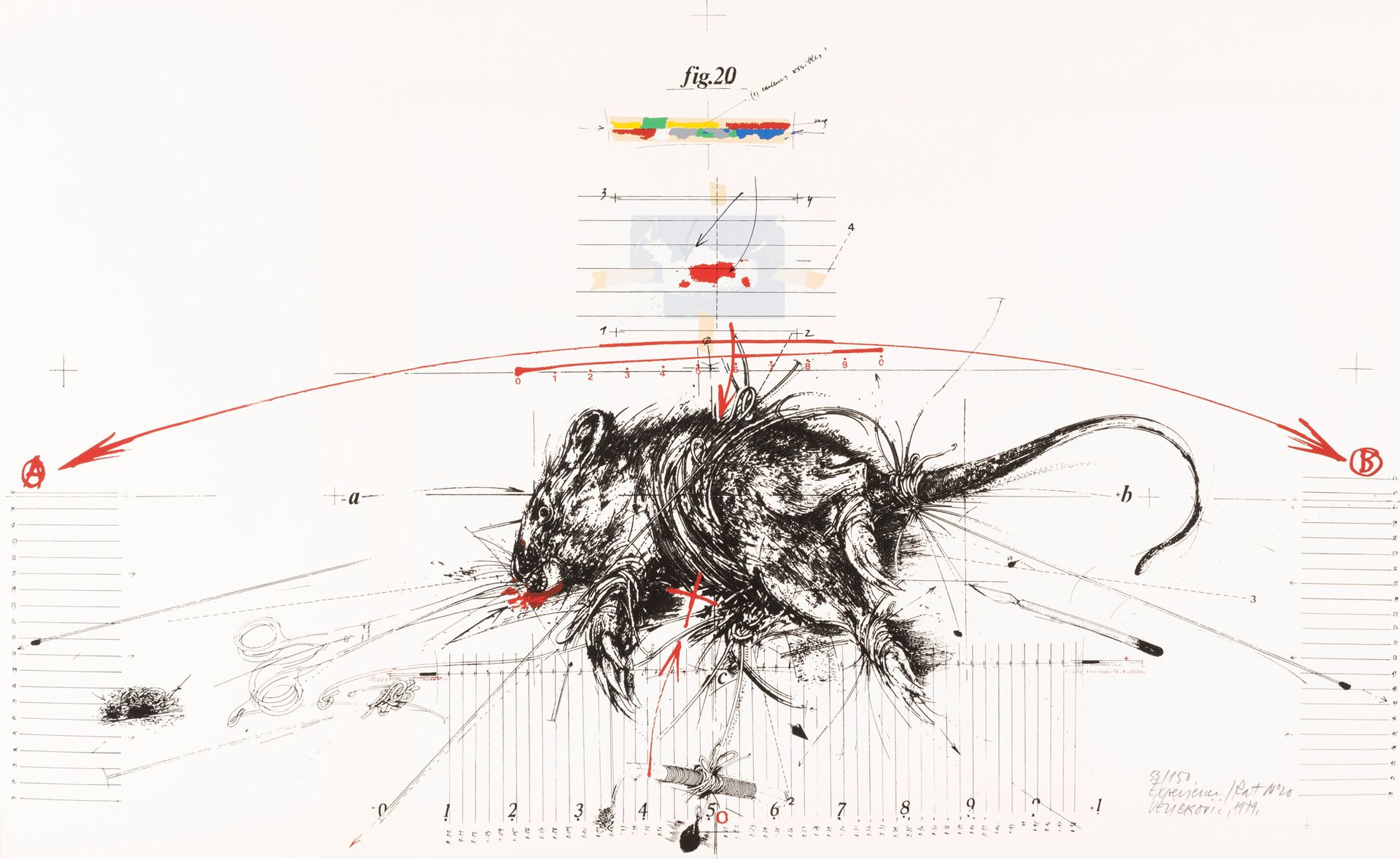 Vladimir Veli?kovi? (1935-2019) Expérience sur rat, 1979.
Lithographie en couleu&hellip;