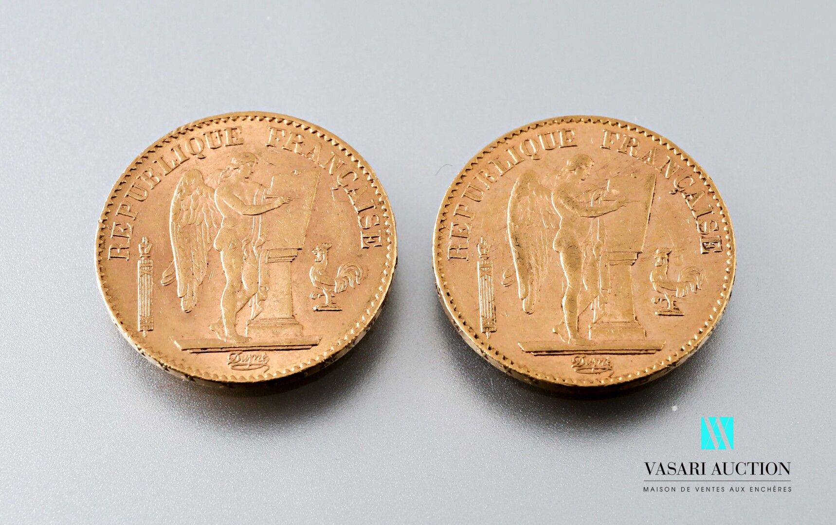 Null Two 20 franc gold coins featuring the Genie after Augustin Dupré, 1895, wor&hellip;