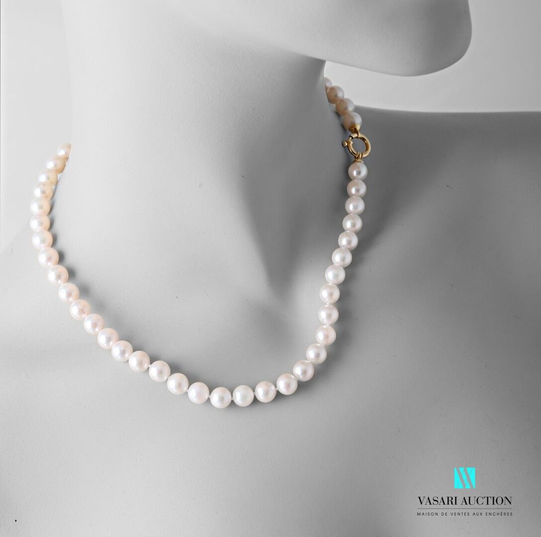 Null Halskette von Perlen der Kultur Akoya von 7,5/8 mm, die Schließe Ringfeder &hellip;