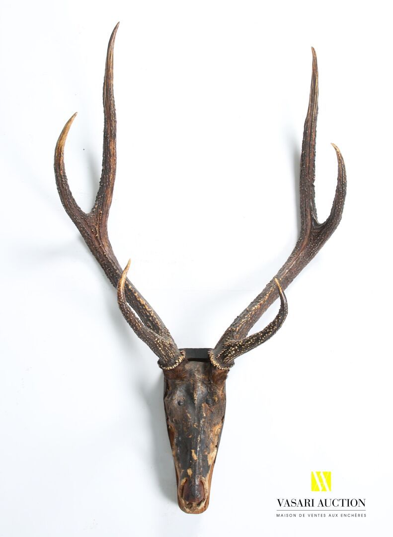 Null 六体麋鹿（Cervus elaphus，不受管制）在木架上的大屠杀
(磨损)
高度：100厘米100 cm - 宽度： 61 cm