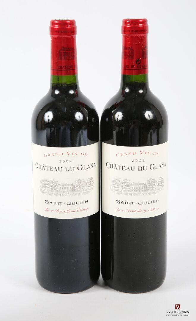 Null 2 瓶 Château du GLANA St Julien 2009 圣朱利安酒庄葡萄酒
	无可挑剔的外观和水准。
