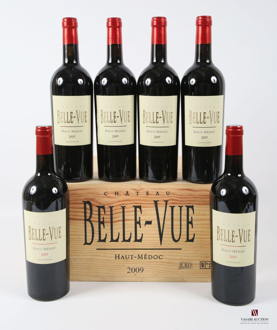Null 6 瓶 Château BELLE-VUE 上梅多克 2009
	无可挑剔的外观和品质。CBO.