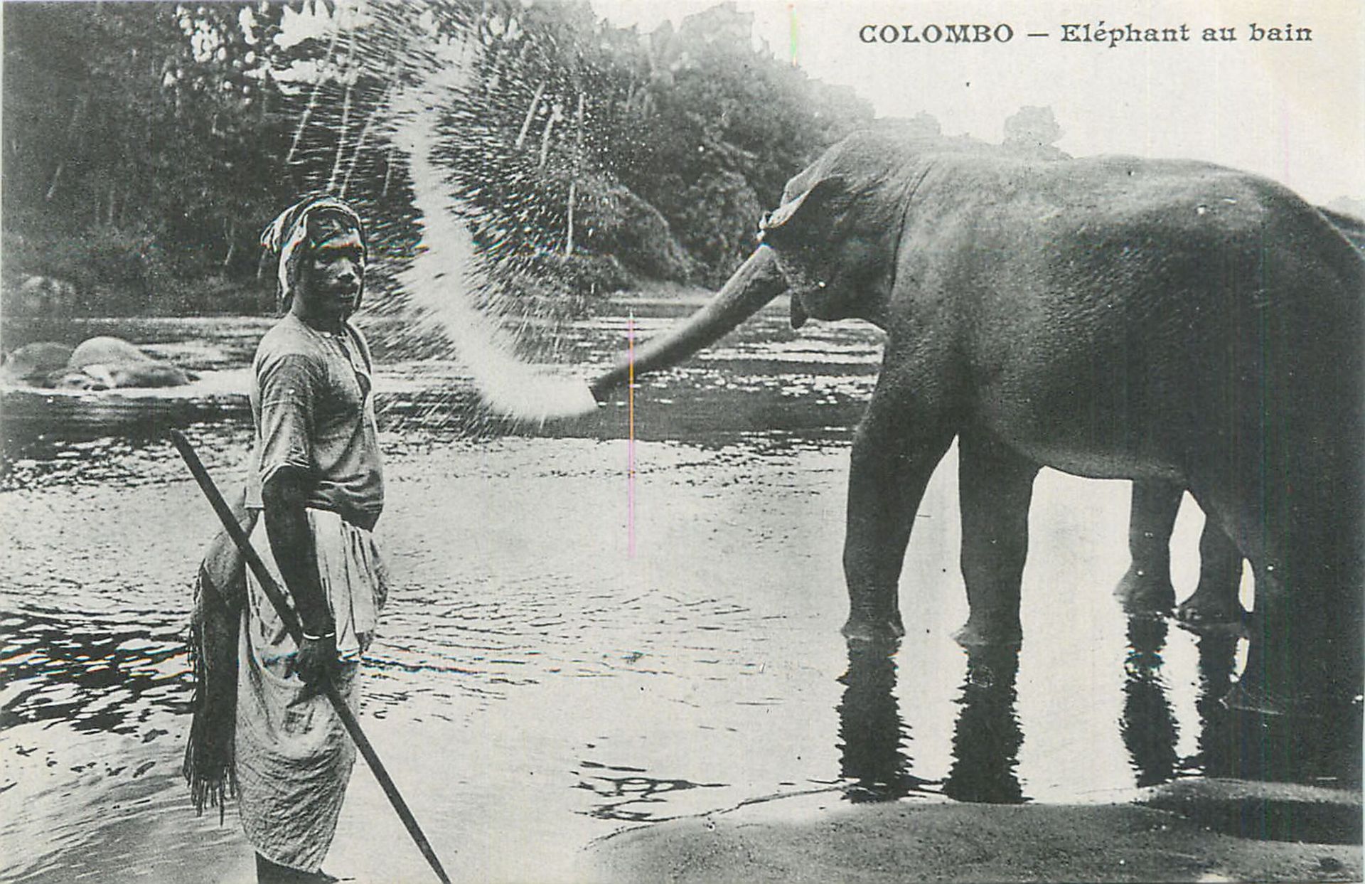 Null 81张印度邮票：科伦坡27cpa，印度52cpa和斯里兰卡2cpa。玛丽蒂姆山脉的明信片。既没有写过，也没有走过。包括 "科伦坡：大象洗澡、拉维尼亚山&hellip;