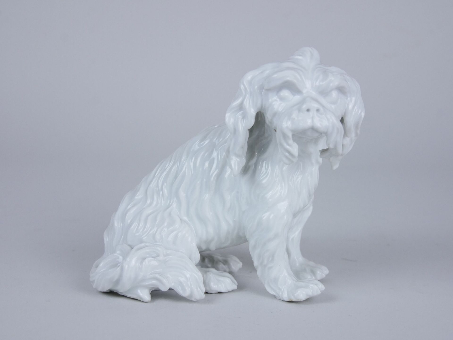 Null 意大利 (?) :

一个白色珐琅彩的瓷器雕像，代表一只小波隆尼犬，坐着。

14 x 13厘米。



专家：MB艺术专家--摩根-布莱斯

06 &hellip;