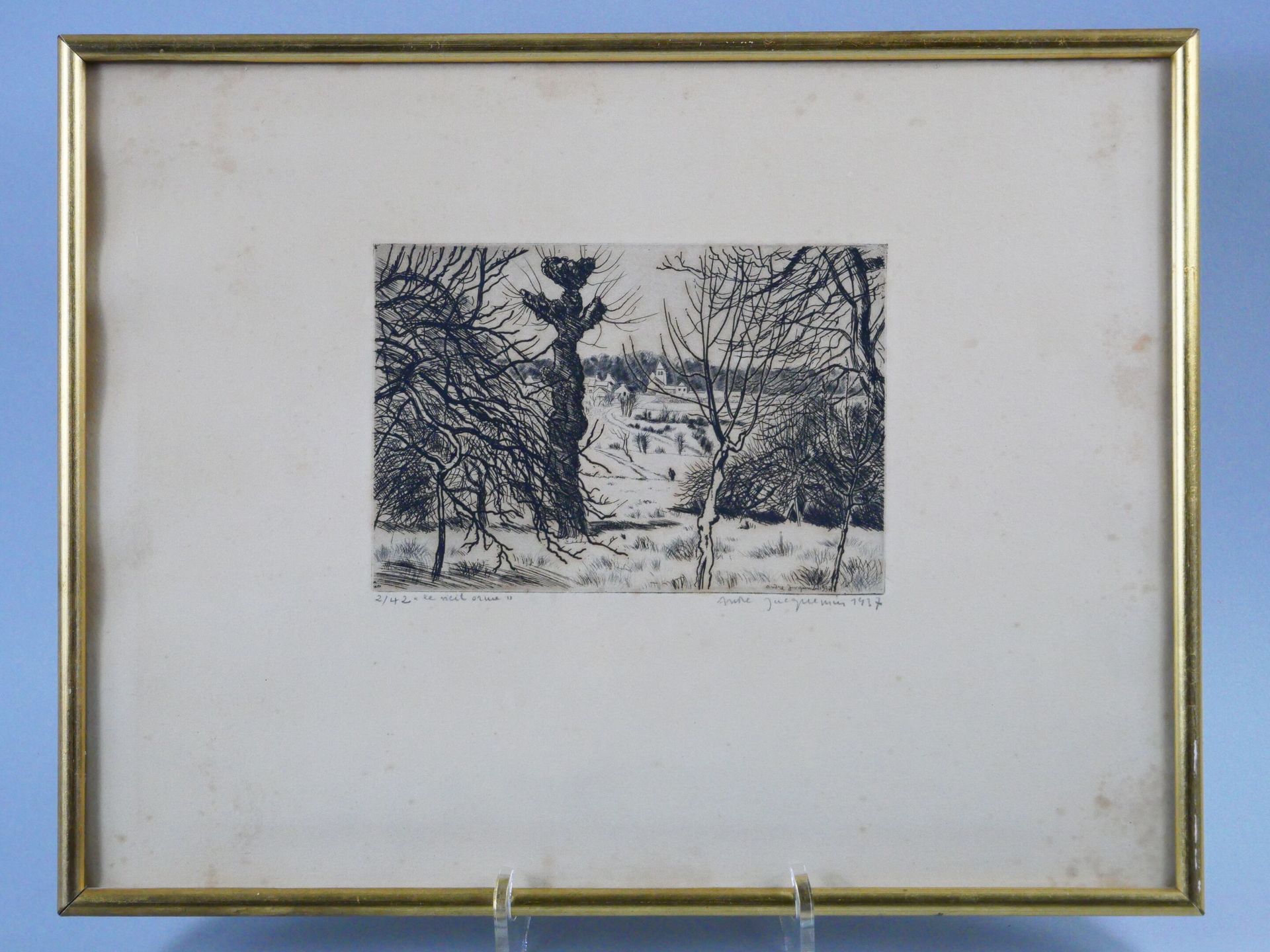 Null 安德烈-雅克曼(André JACQUEMIN) (1904-1992)
"老榆树"。 
黑体雕刻，右下角有签名，日期为1937年，右上角为2/42，&hellip;