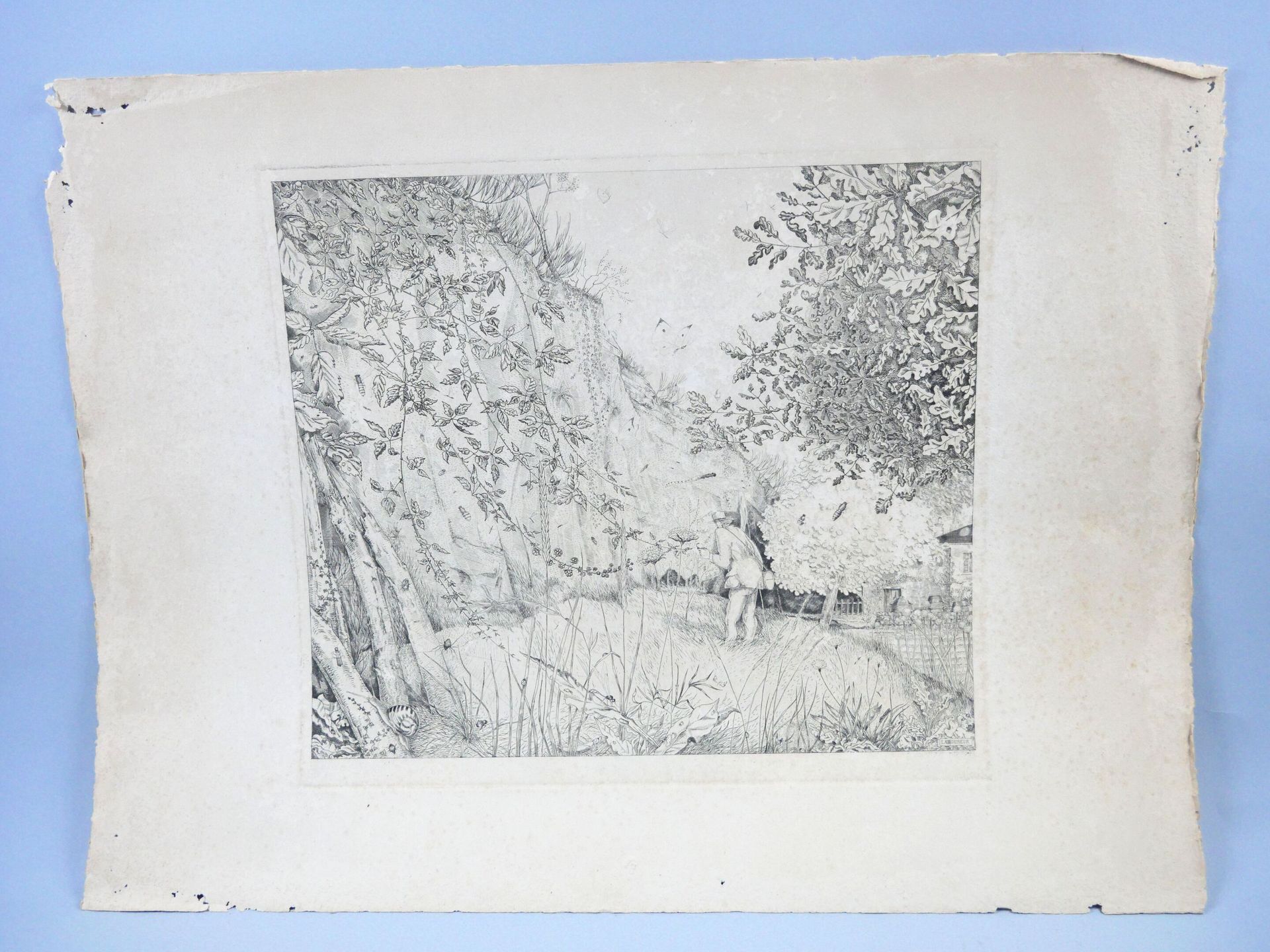 Null Jean-Émile LABOUREUR (1877-1943) 
昆虫学家 
卢浮宫的Chalcography与干印。 
尺寸：50 x 65厘米
&hellip;