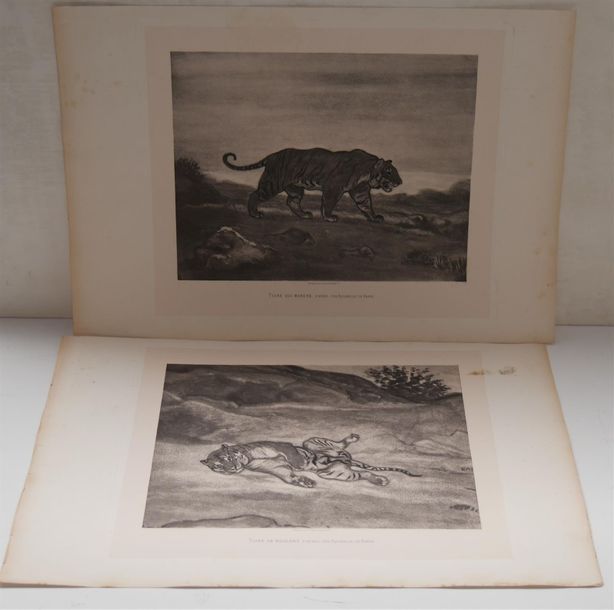 Null BARYE Louis-Antoine (1796-1875) d'après
Lion roulant et tigre qui marche 
D&hellip;