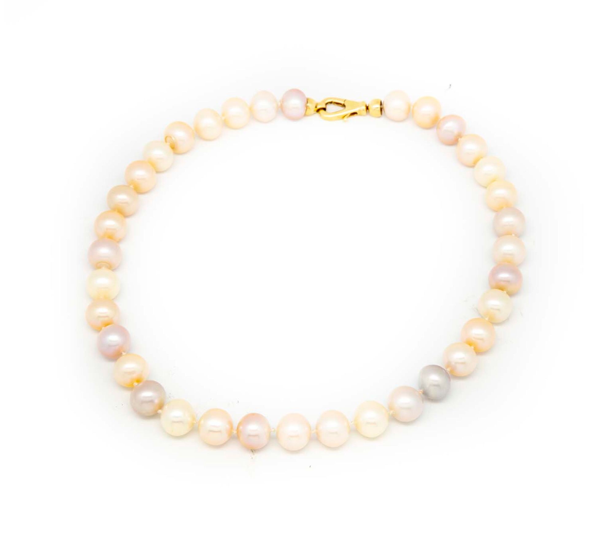 Null Necklace of 35 pink and grey river pearls, gold clasp