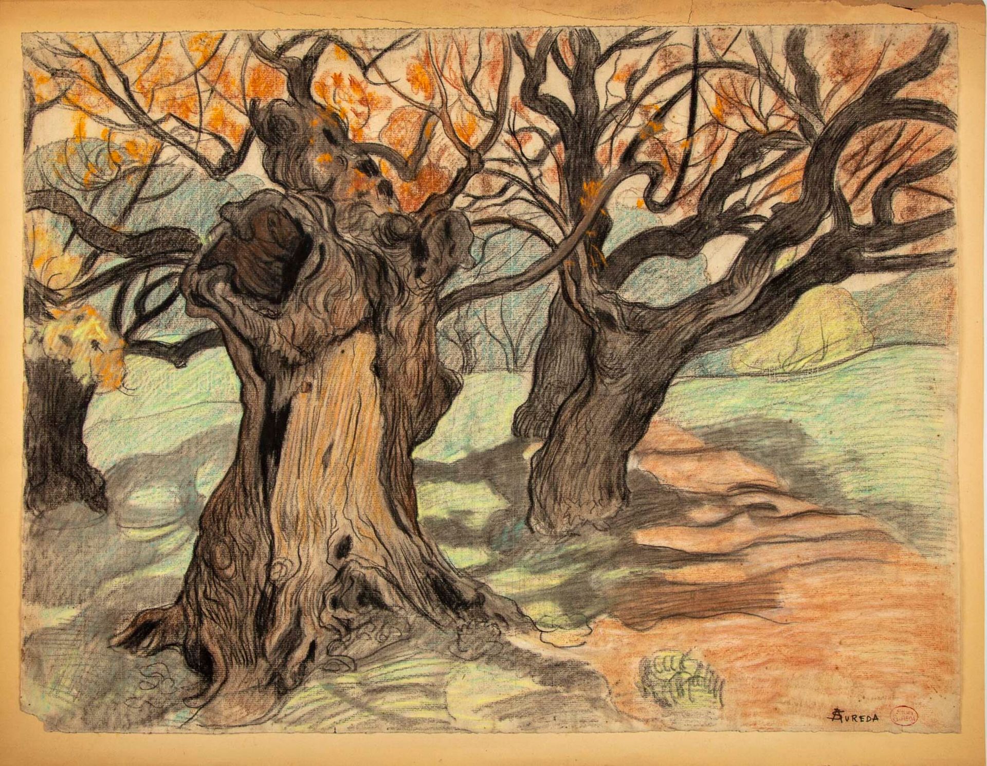 SUREDA 安德烈-苏雷达(1872-1930)

景观与树木

纸上炭笔和粉笔画，右下角有签名和印章

47 x 63 cm