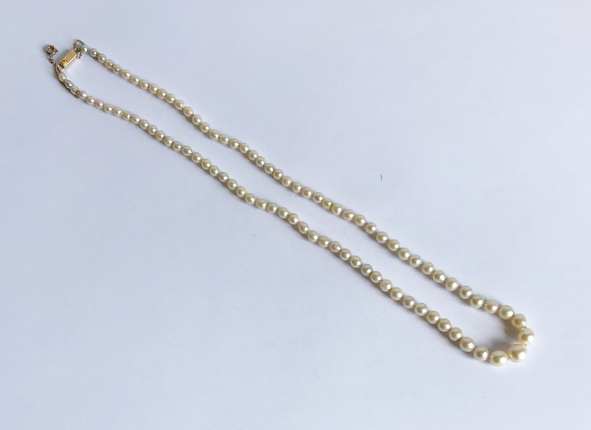 Null Necklace of cultured pearls in fall. Gold clasp with safety chain