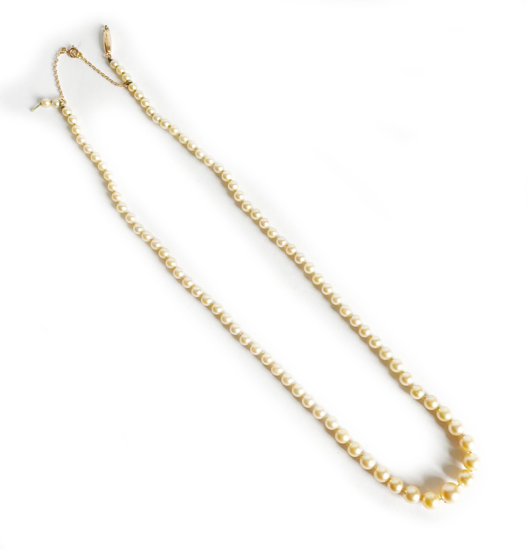 Null Small necklace of cultured pearls in fall. Gold clasp.

Broken