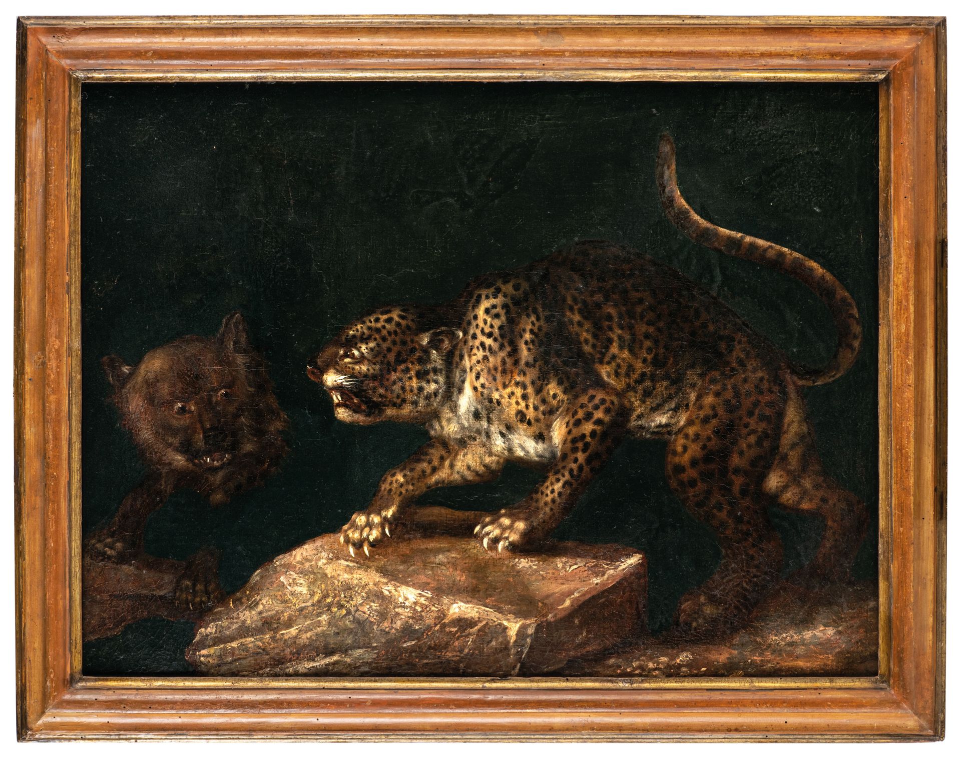PITTORE DEL XVIII-XIX SECOLO 动物
布面油画，cm 55X73