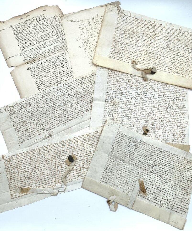 Null 15世纪的档案
一套漂亮的9个特许证，日期从1406年到1497年。各种格式。7份羊皮纸文件，其中4份有黑色蜡封的遗迹，2份纸质文件。文件状况良好。