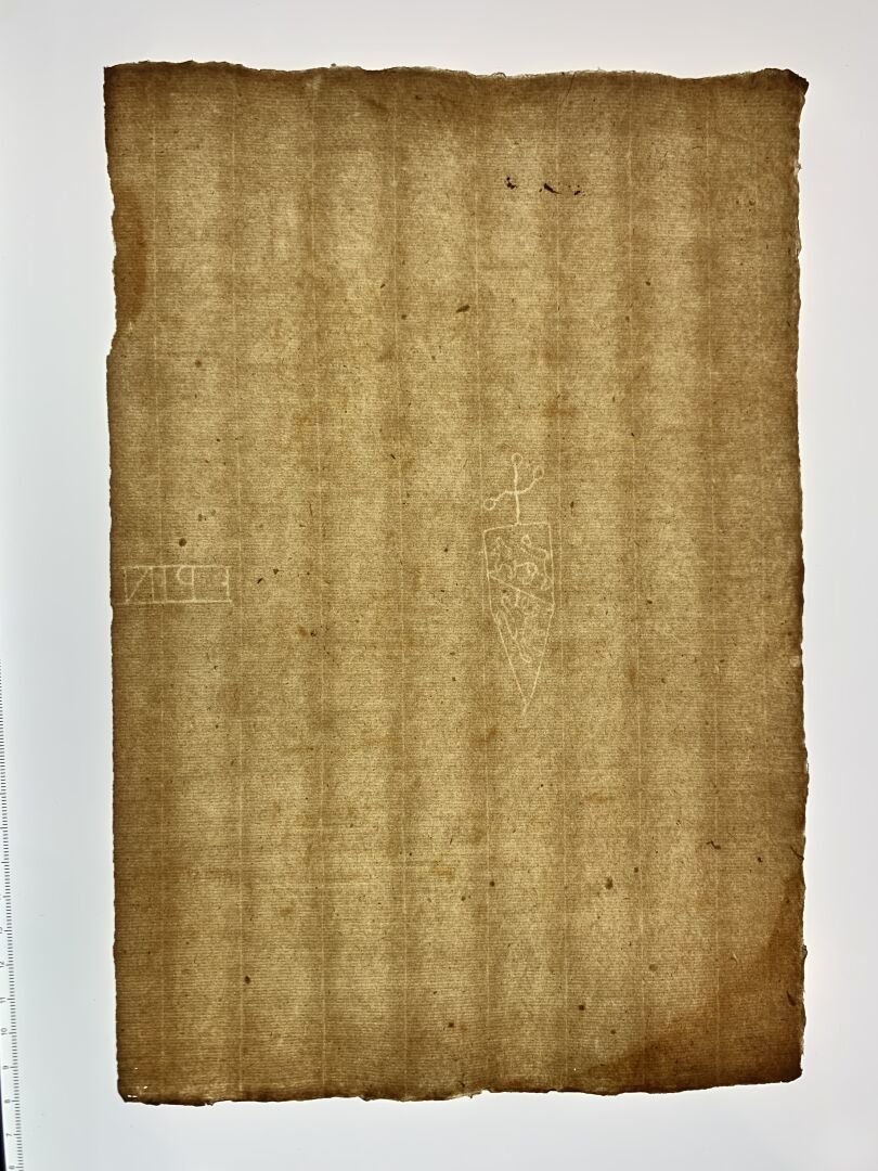 Null 古董纸和水印
重要的一套古董文件。这套书被分为7个不同的部分。文件 "1632"29页，文件 "1640"16页，文件 "1655"15页，文件 "1&hellip;