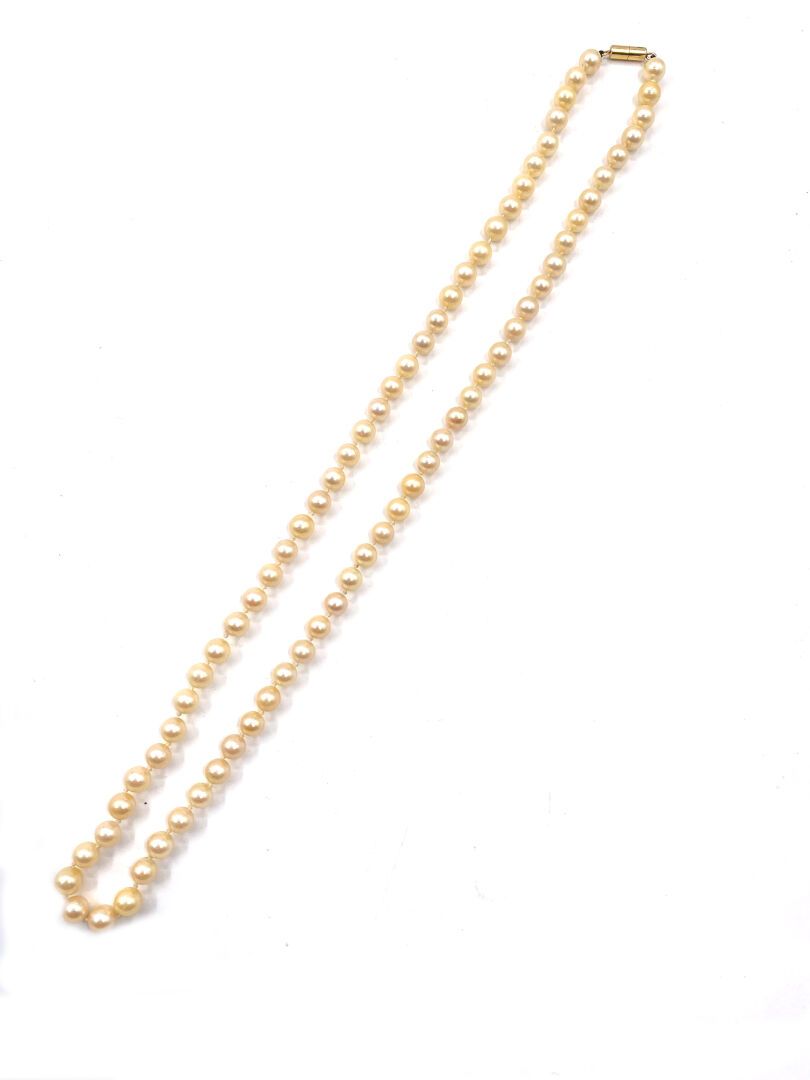 Null 七十五颗养殖珍珠项链，金属扣。
珍珠的直径：7.00/7.50毫米