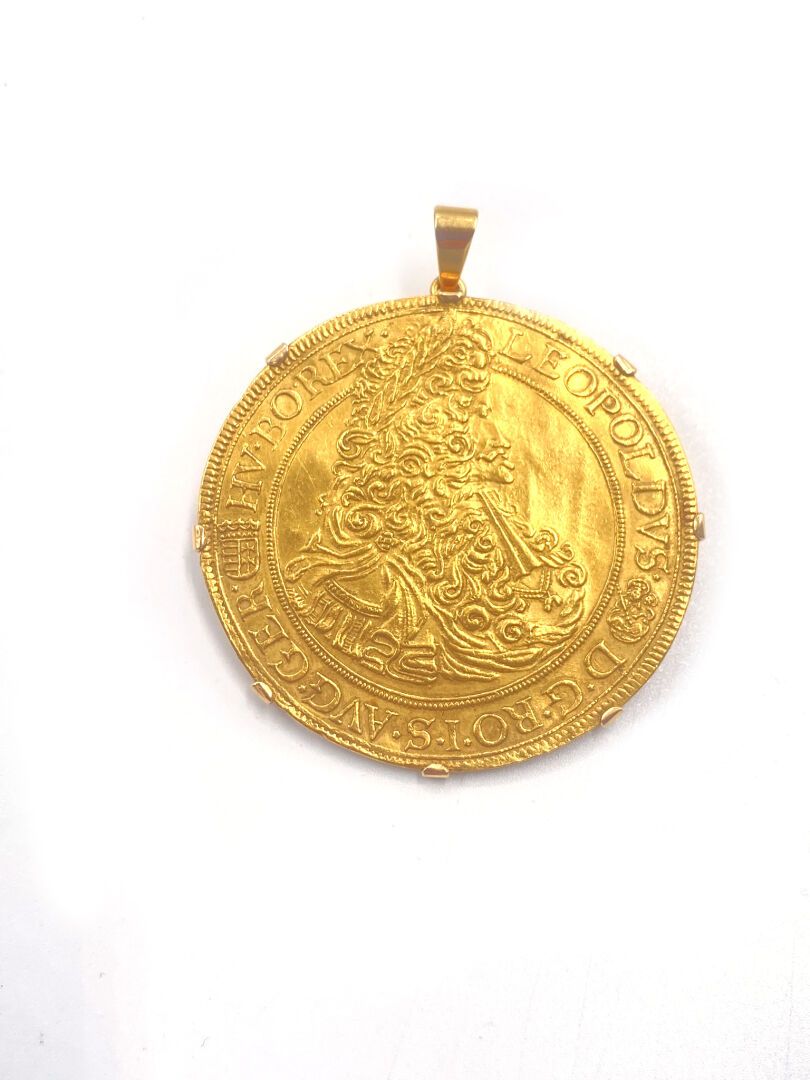Null 可形成吊坠的胸针，黄金75千分之一，中间装饰有一枚金币。
高度 : 5,5 cm
总重量 : 22,7 g