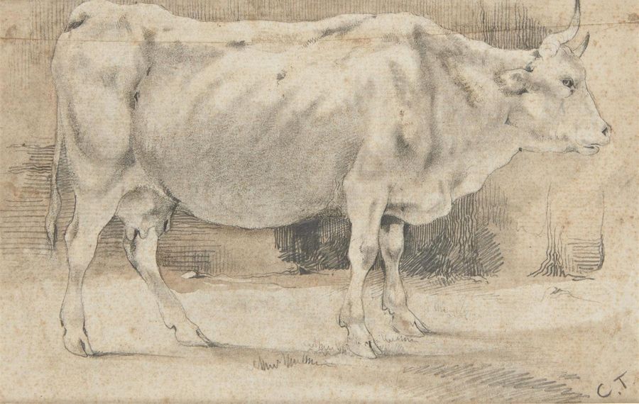 Null Constant TROYON (Sèvres 1810 - Paris 1865)
Une vache de profil
Crayon noir
&hellip;
