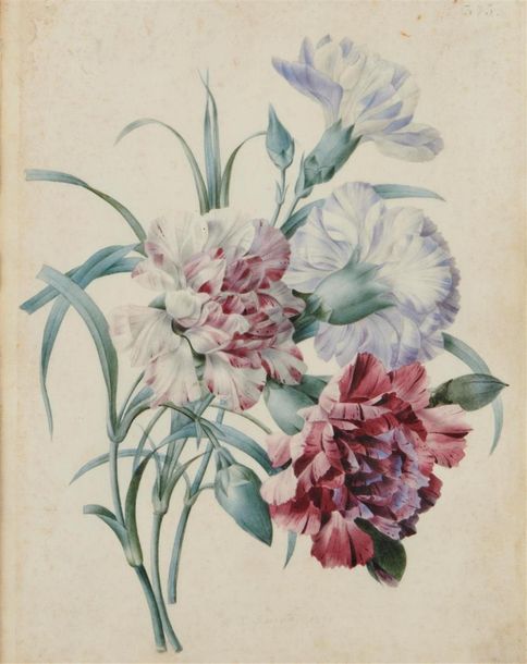 Null Pierre-Joseph REDOUTE (Saint-Hubert 1759 - Paris 1840) 
Jeté de fleurs 
Aqu&hellip;