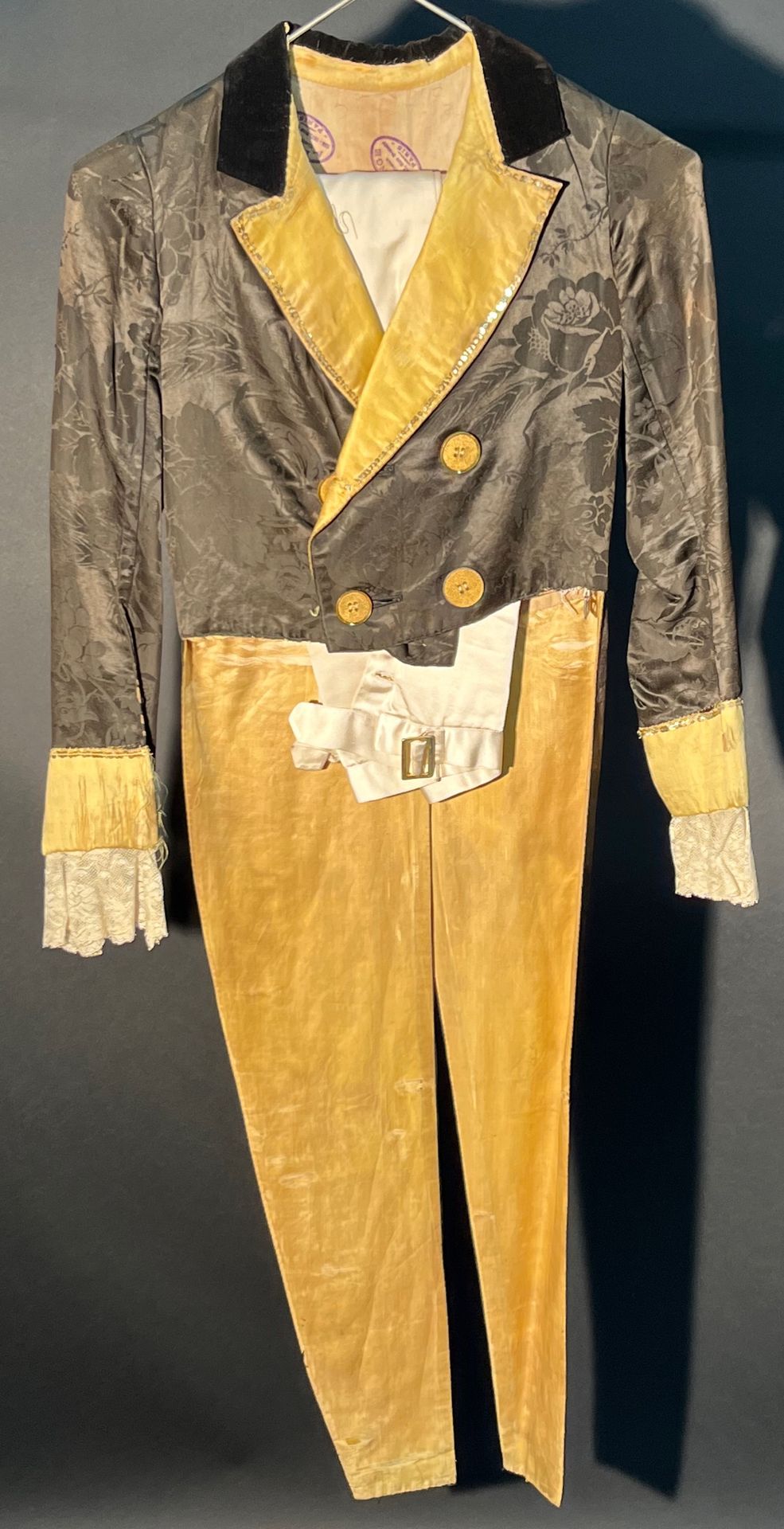Null 忠诚的绅士19 世纪的西装，黑黄相间的尾巴，大纽扣，配上他的裤子。