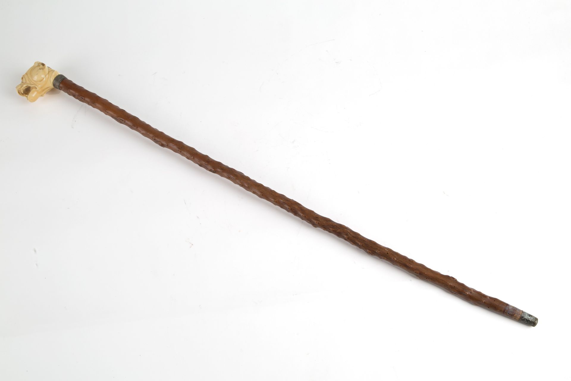 Walking stick Bastón de madera con pomo de marfil que representa "CABEZA DE BULL&hellip;