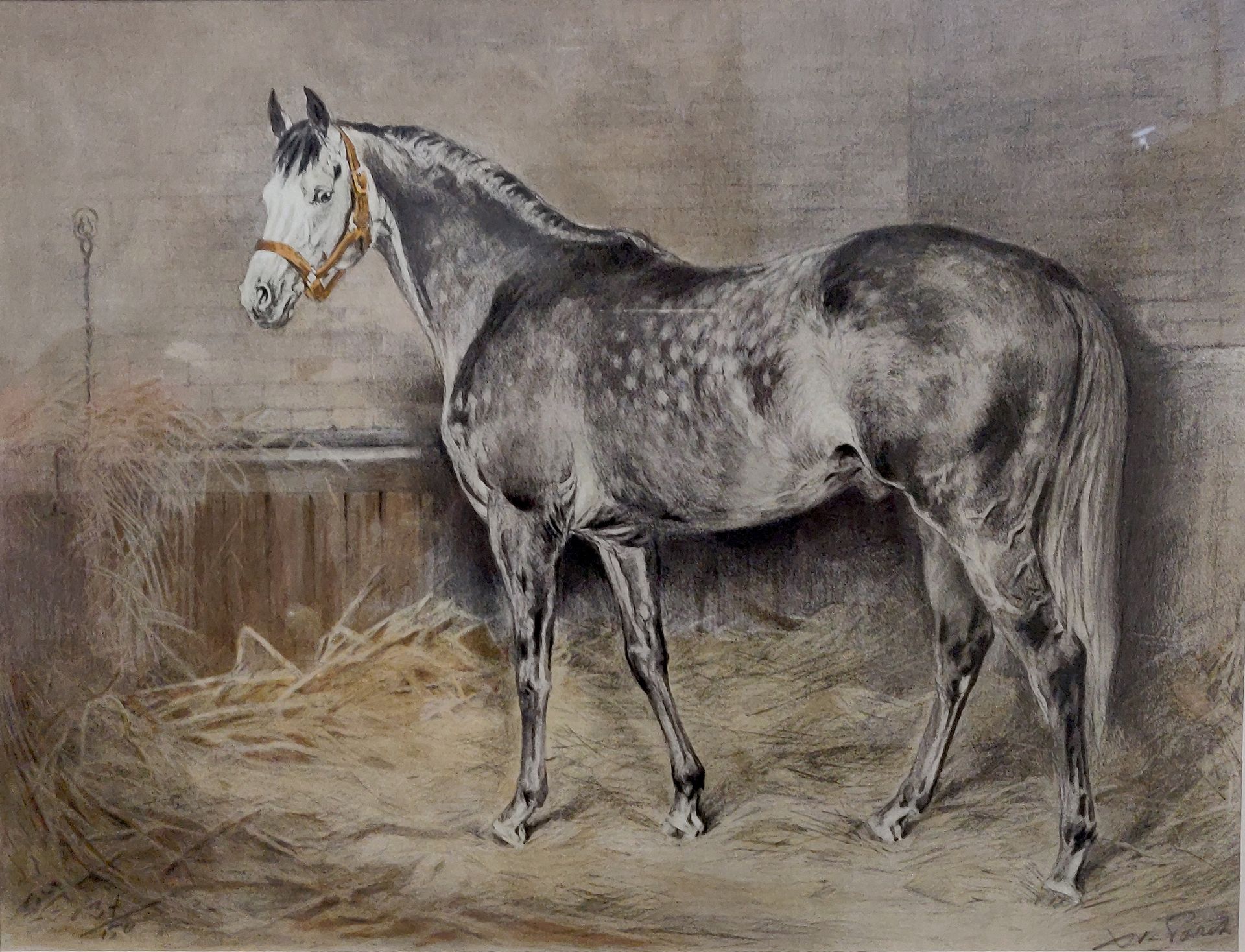 Null 泽维尔-德-波雷（1894-1975）。马厩里的马。铅笔印刷品，有签名和编号的37/150。视图：41 x 54厘米。