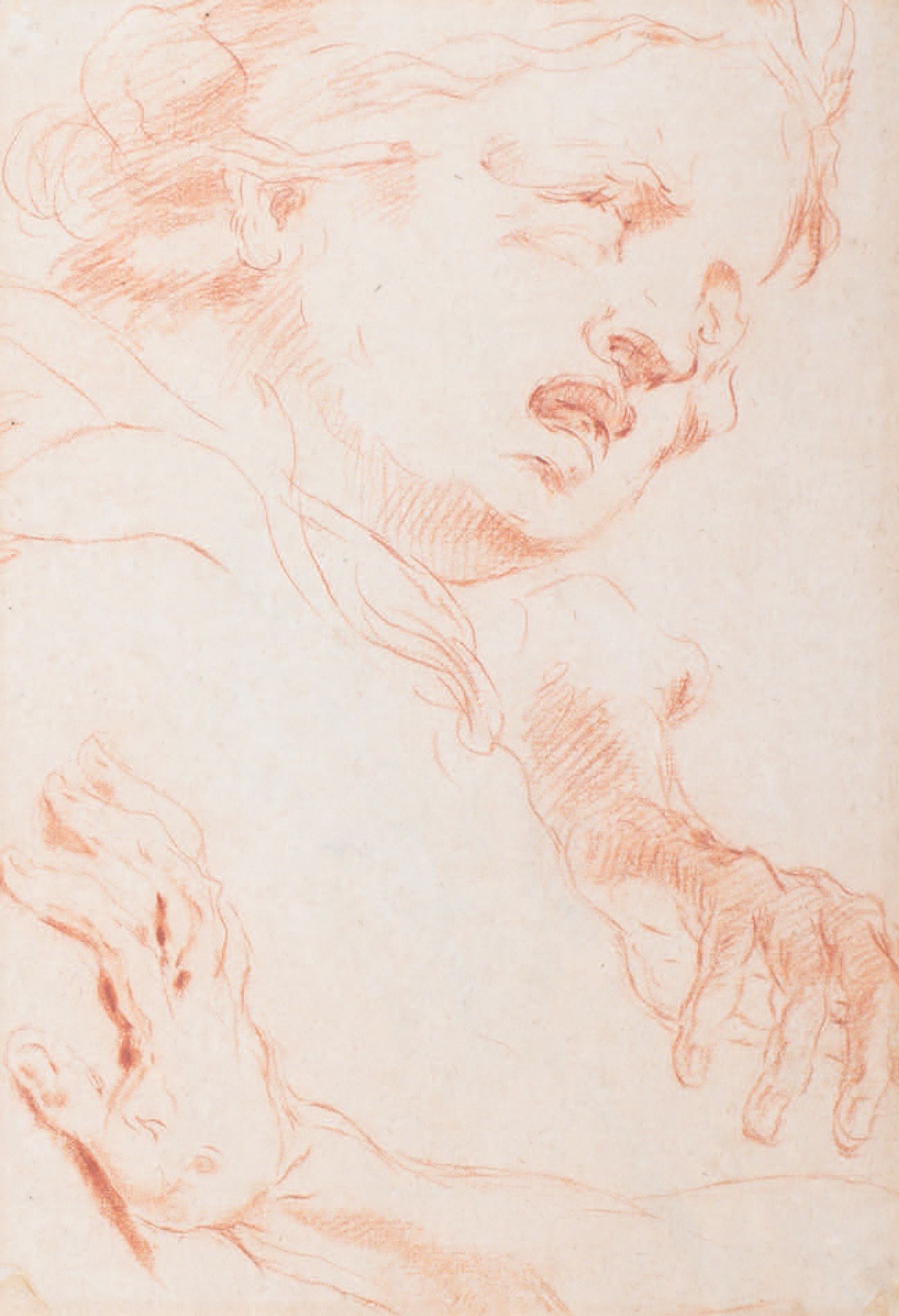 Pietro Antonio NOVELLI (1729-1804) 
Studio di testa e mano
Sanguigna
Étude de tê&hellip;