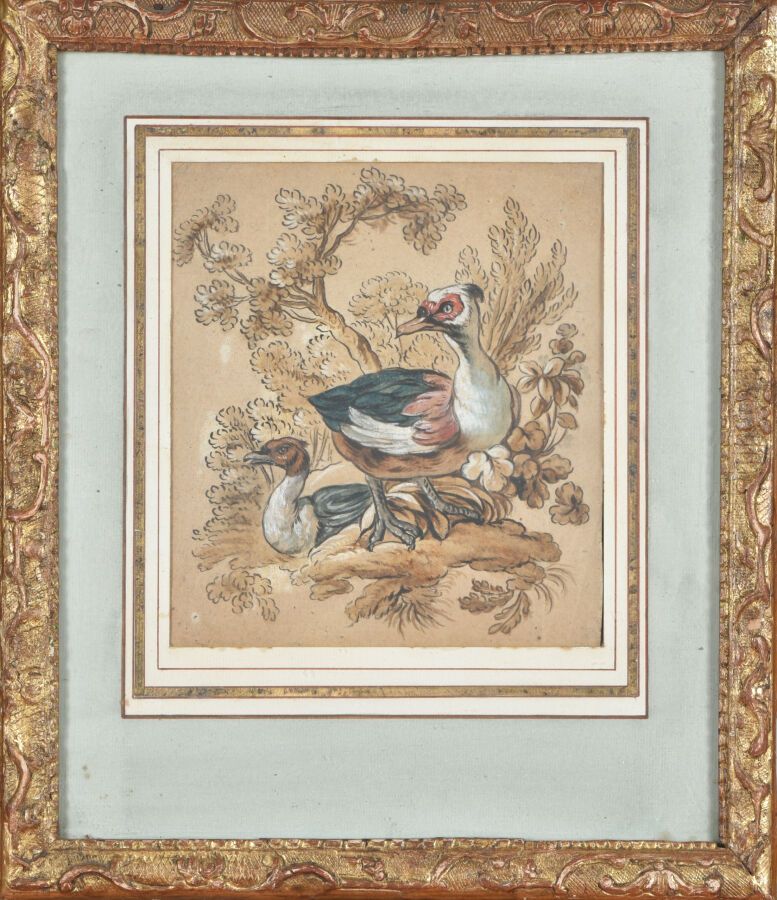 Null ECOLE FRANCAISE du XVIIIème siècle 

Couple de palmipèdes. 

Oiseau sur une&hellip;