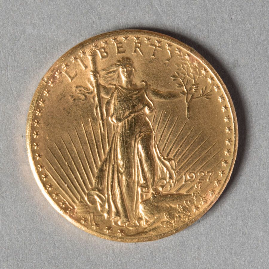 Null USA 

20 DOLLARS 1927 

33 gr 46 

TTB nettoyée