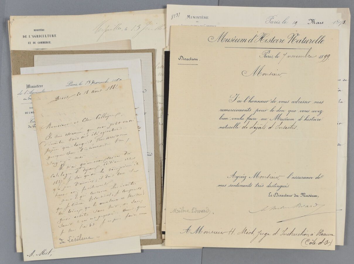Null [Henri MIOT (1841-1938), entomologiste]. Correspondance de 40 lettres adres&hellip;