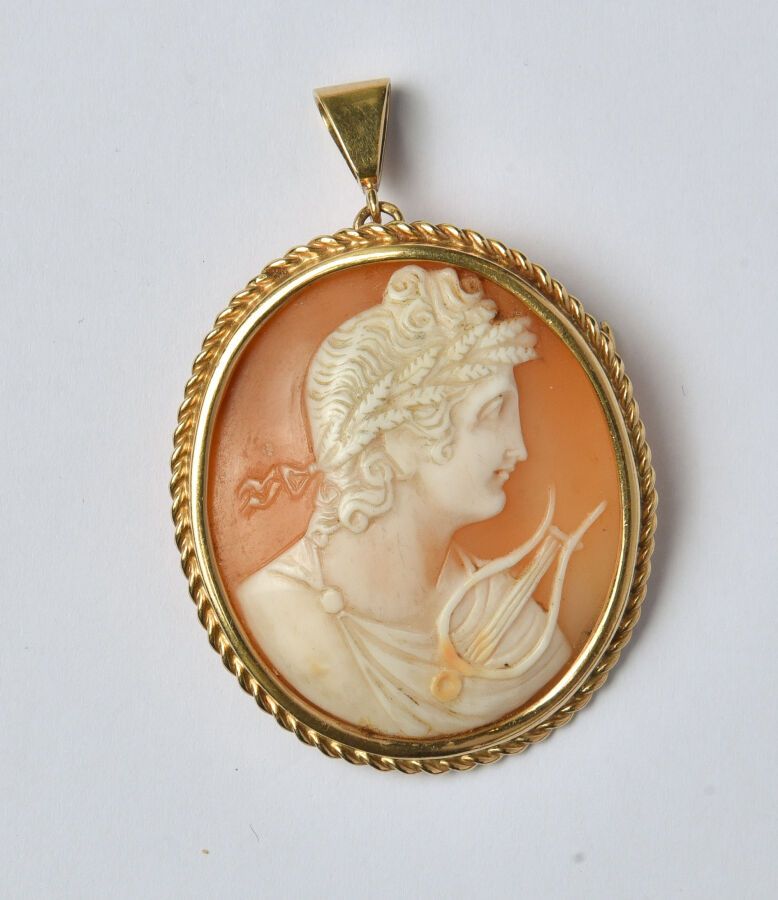 Null 18K (750/oo) yellow gold brooch-pendant, centered on a cameo on a shell rep&hellip;