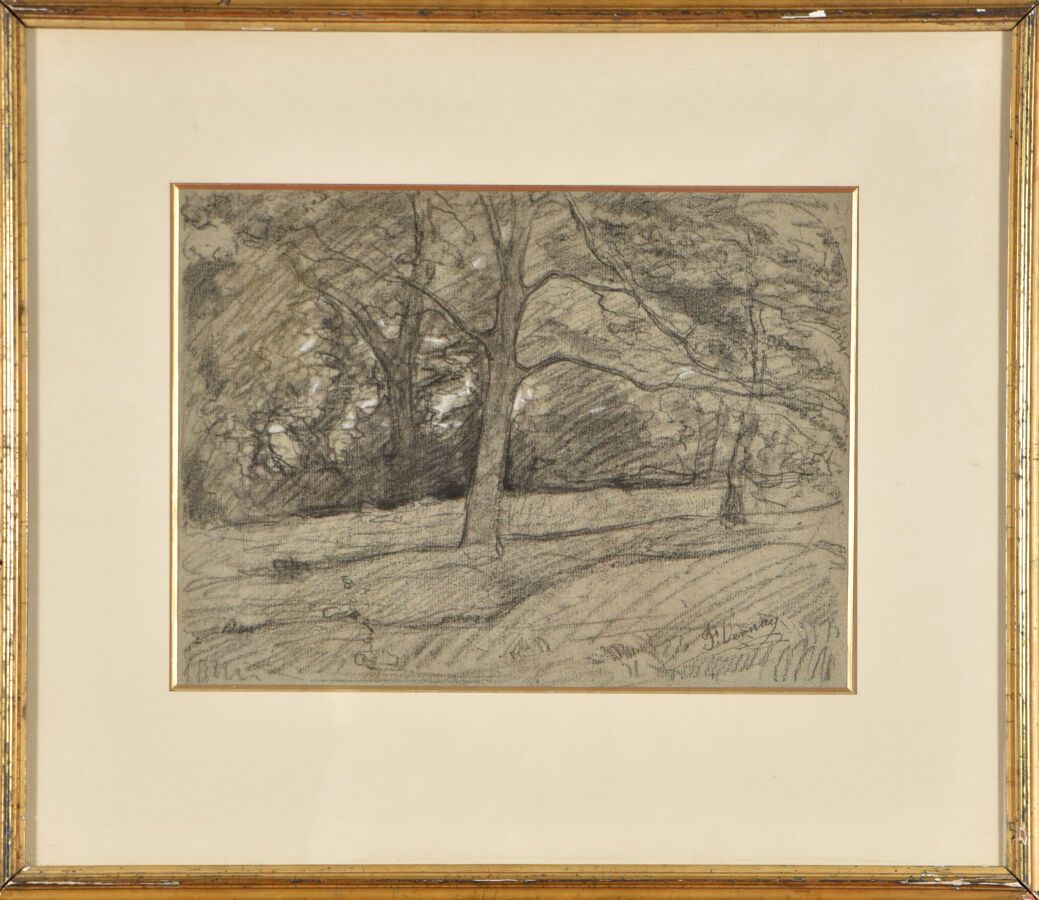 Null François VERNAY (1821-1896).
Arbres en automne.
Fusain et craie blanche sur&hellip;