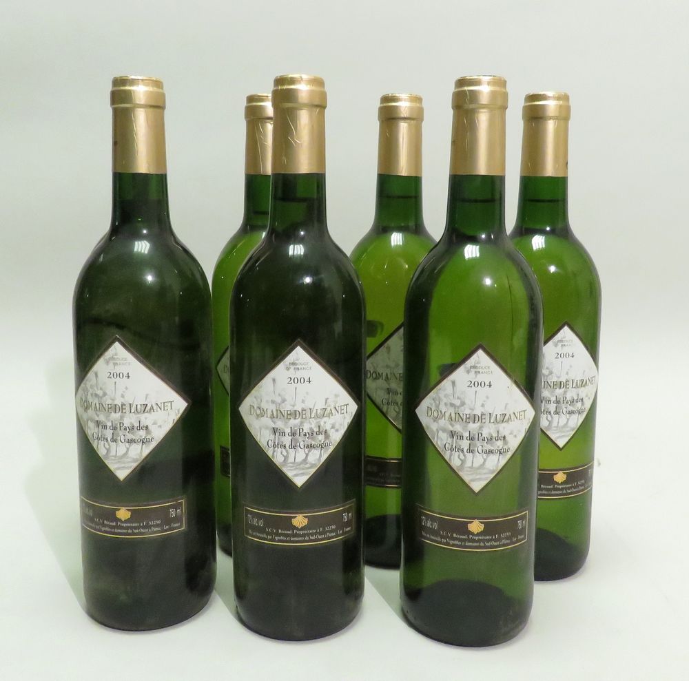 Null Domaine De Luzanet, Vin de Pays des Côtes de Gascogne, White, 2004 vintage.&hellip;