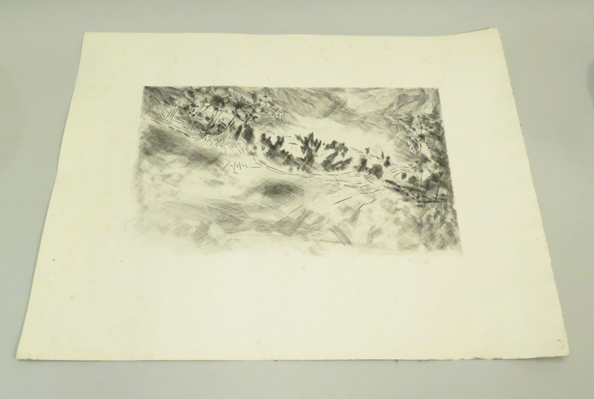 Null 皮埃尔-祖切利（生于1927年）。景观。牛皮纸上的蚀刻画，右下方有艺术家的签名，左下方有 "H.C. "字样。高：58厘米，宽：77厘米（未装裱；有的&hellip;