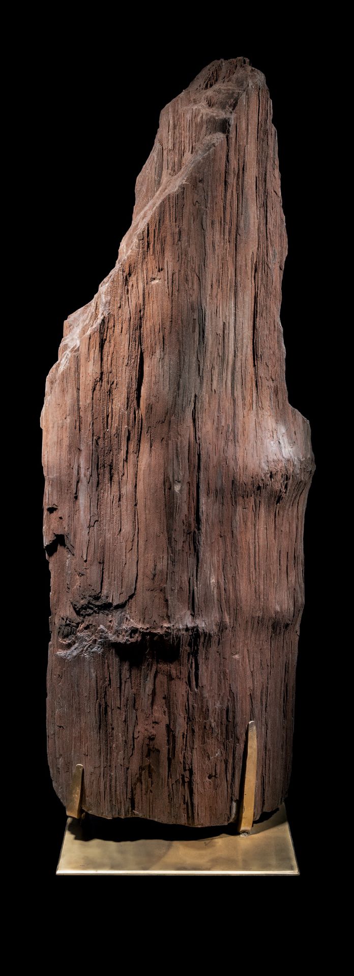 Null CRYSTALISED FOSSILE TRUNK
H. 115 cm - W. 38 cm - D. 30 cm - Weight: 87kg
来自&hellip;